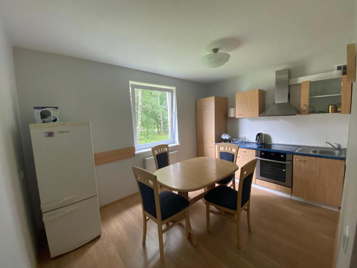 Butas Senamiestyje Apartman Druskininkai Kültér fotó